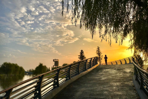 捷元网 天天跑步最后跑进医院？这个跑步“错误”，多少跑者都在犯？