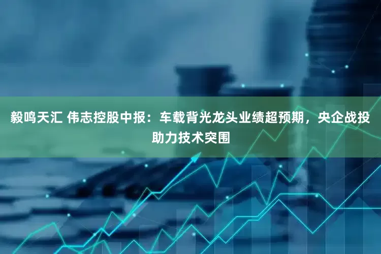 毅鸣天汇 伟志控股中报：车载背光龙头业绩超预期，央企战投助力技术突围